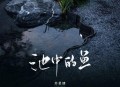 苏星婕《池中的鱼》[无损flac|320K高品质MP3]网盘下载