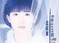 孟庭苇1992年专辑《冬季到台北来看雨》[无损flac]网盘下载