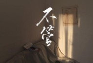 苏星婕《不管》[无损flac|320K高品质MP3]网盘下载