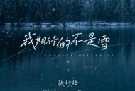 张妙格《我期待的不是雪》[无损flac]网盘下载