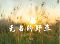 刘阳阳《无名的野草》[FLAC/MP3-320K]网盘下载