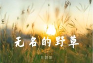 刘阳阳《无名的野草》[FLAC/MP3-320K]网盘下载