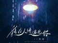 田园《我在人海遇见你（深情版）》[FLAC/MP3-320K]网盘下载