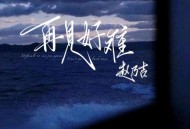赵乃吉《再见好难》[无损flac|320K高品质MP3]网盘下载