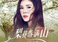 孙艺琪《梨花落满山》[FLAC/MP3-320K]网盘下载