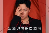 贺一航《生活的度数比酒高》[FLAC/MP3-320K]网盘下载