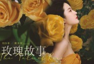 《玫瑰的故事》电视剧原声带[无损flac|320K高品质MP3]网盘下载