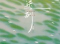 云菲菲《送别》[FLAC/MP3-320K]网盘下载