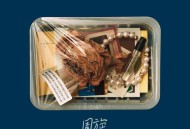 张洢豪《周旋》[无损FLAC|320K高品质MP3]网盘下载