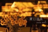 带泪的鱼(戴丽丽)《夏日温柔》[无损flac|320K高品质MP3]网盘下载