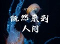 成学迅《既然来到人间》[FLAC/MP3-320K]网盘下载
