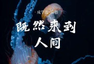成学迅《既然来到人间》[FLAC/MP3-320K]网盘下载
