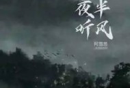 阿悠悠《夜半听风》[无损flac]网盘下载