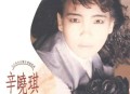 辛晓琪1989年专辑《在你背影守候》[无损flac]网盘下载