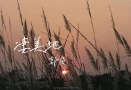 郭顶《凄美地》[无损flac]网盘下载