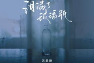 苏星婕《泪满了玻璃瓶》[无损flac|320K高品质MP3]网盘下载
