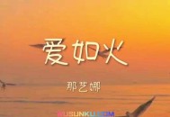 那艺娜《爱如火》[无损flac]网盘下载