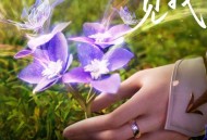 潘修宇《见我》[FLAC/MP3-320K]网盘下载