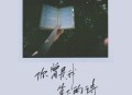 赵乃吉《你曾是我笔下的诗》[无损flac|320K高品质MP3]网盘下载
