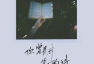 赵乃吉《你曾是我笔下的诗》[无损flac|320K高品质MP3]网盘下载