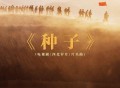 韩红《种子》[无损FLAC|320K高品质MP3]网盘下载