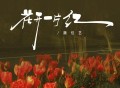 魏佳艺《花开一片红》[FLAC/MP3-320K]网盘下载