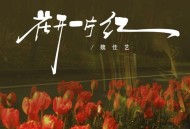 魏佳艺《花开一片红》[FLAC/MP3-320K]网盘下载