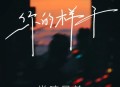 半吨兄弟《你的样子》[无损flac|320K高品质MP3]网盘下载