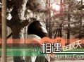 程响《不该相遇在秋天》[无损flac]网盘下载