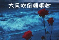 云南顶呱呱南瓜《大风吹倒梧桐树》[无损flac|320K高品质MP3]网盘下载