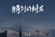 苏星婕《特别的朋友》[无损flac|320K高品质MP3]网盘下载
