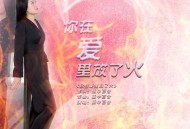 雨中百合《你在爱里放了火》[FLAC/MP3-320K]网盘下载