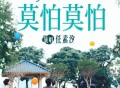 任素汐《莫怕莫怕》[无损FLAC|320K高品质MP3]网盘下载