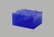 告五人2019年专辑《我肯定在几百年前就说过爱你》[FLAC/MP3-320K]网盘下载