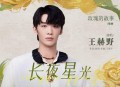 王赫野《长夜星光》[无损flac|320K高品质MP3]网盘下载