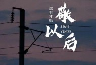 郭有才《敬以后(郭有才版)》[无损flac|320K高品质MP3]网盘下载