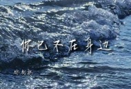 徐剑秋《你已不在身边》[无损FLAC|320K高品质MP3]网盘下载