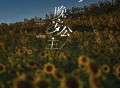 杨小壮《晚安公主》[FLAC/MP3-320K]网盘下载