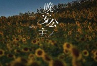 杨小壮《晚安公主》[FLAC/MP3-320K]网盘下载