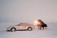 荨麻疹《软肋》[FLAC/MP3-320K]网盘下载