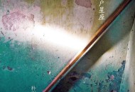 朴树2017年专辑《猎户星座》[无损flac]网盘下载