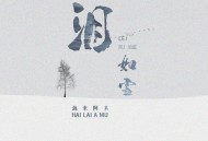 海来阿木《泪如雪》[无损flac|320K高品质MP3]网盘下载