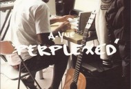 张震岳2011年专辑《我想要的感觉》[无损flac]网盘下载