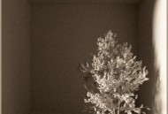 刘雨昕《我原谅你》[FLAC/MP3-320K]网盘下载