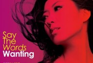 曲婉婷2013年专辑《Say The Words》[无损flac]网盘下载