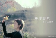 程响《等你归来》[无损flac]网盘下载