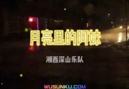 湘西深山乐队《月亮里的阿妹》[无损flac]网盘下载
