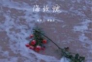 陈默之、傅梦彤《海玫瑰》[无损flac|320K高品质MP3]网盘下载