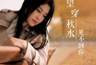 雨中百合《望穿秋水见不到你》[无损flac|320K高品质MP3]网盘下载