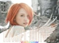 杨丞琳2013年专辑《天使之翼》[无损flac]网盘下载